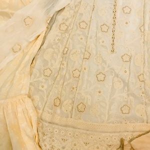 Satrangi beautiful chiffon chic kari dress